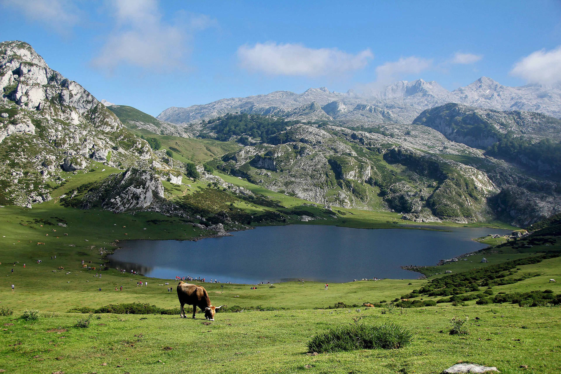 Lago Enol, Picos de Europa, Cangas de Onís